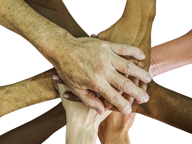 Community Partners - Possible Rochester for Business